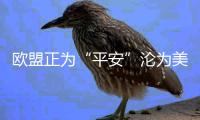 欧盟正为“平安”沦为美国附庸